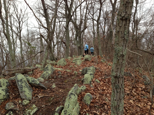 Climbing on the ridge - that resembled a stegasaurus' back
