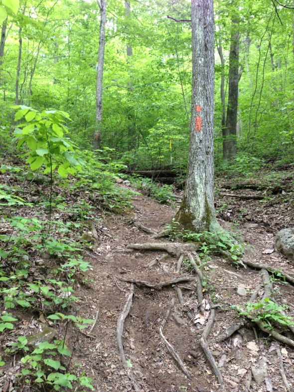 Massanutten Trail