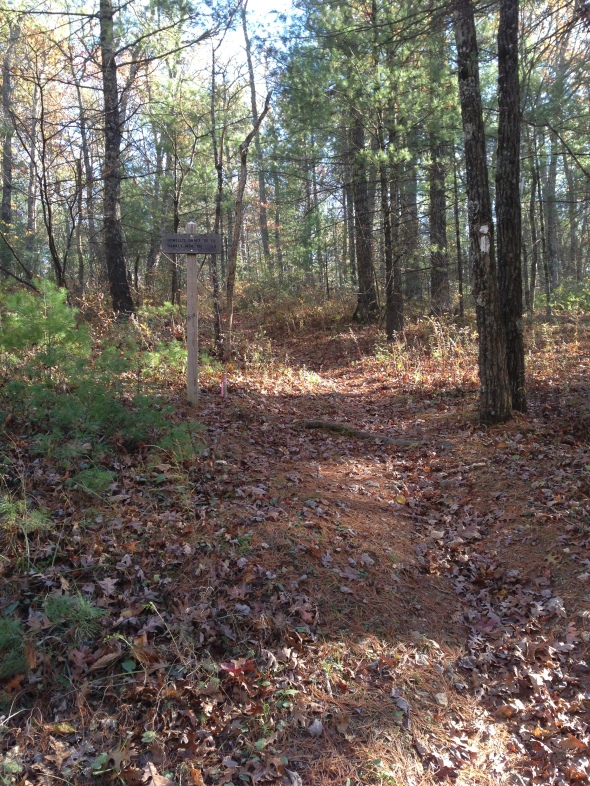 The Wild Oak Trail