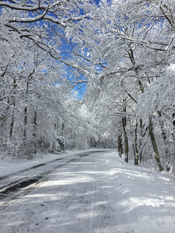 A snowy Skyline Drive